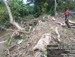 Oknum Polisi Diduaga Pembalak Liar Pohon Jati Aset PTPN 2 Diperiksa Propam Polres Langkat